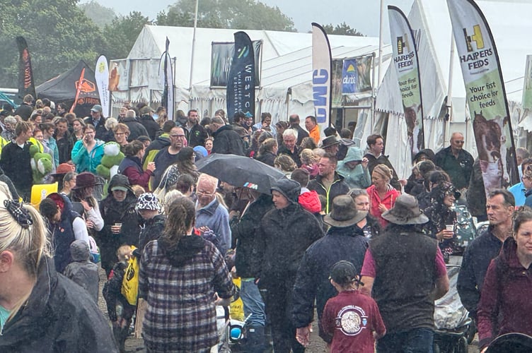 A crowded avenue at the Show.  AQ 9403