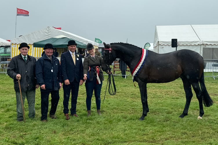 The champion horse at the Okehampton Show.