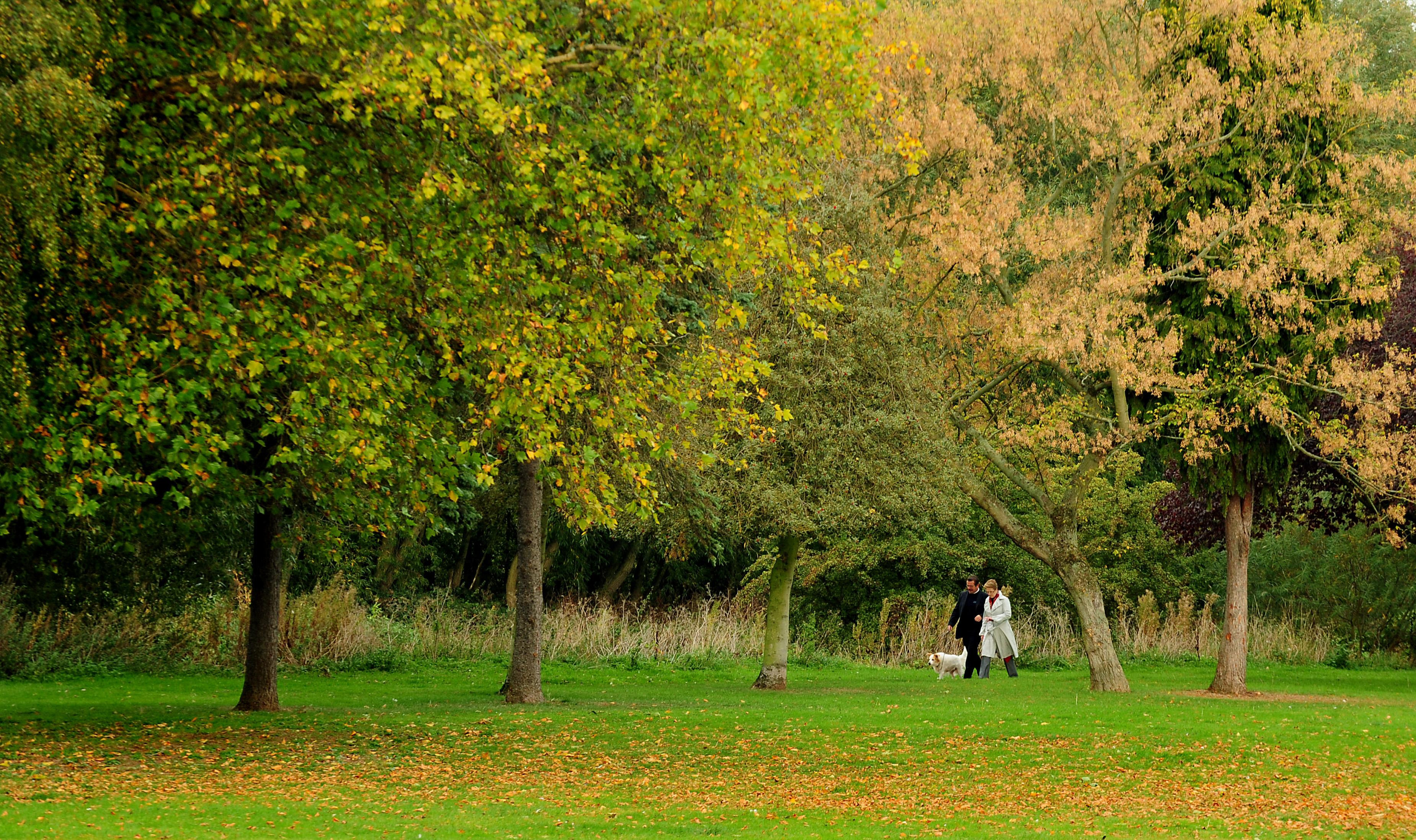 Access to green space in Torridge one of the worst in South West