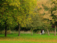 Access to green space in Torridge one of the worst in South West