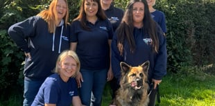 Police funding is helping protect people and pets from domestic abuse