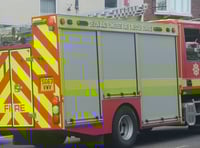 Spaniel saved from 100ft Lifton quarry ledge