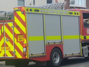 Spaniel saved from 100ft Lifton quarry ledge