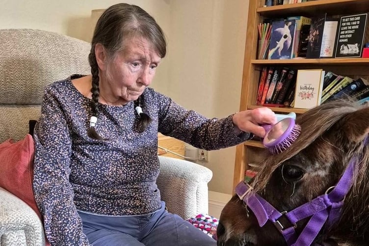 Springfields Nursing Home, Bridestowe.