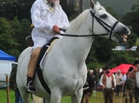 All along, down along to Widecombe Fair