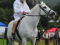 All along, down along to Widecombe Fair