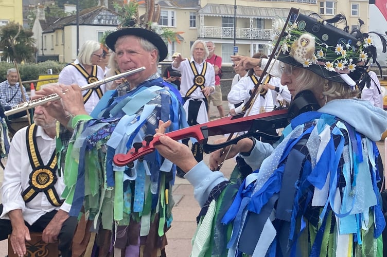 The Dartmoor Border Morris musicians visit many events over the summer