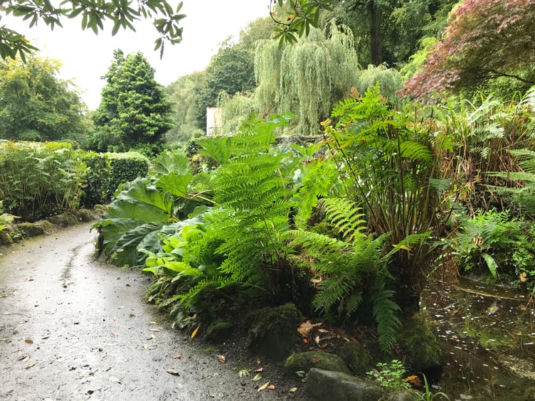 The booklet helps children explore nature in the park