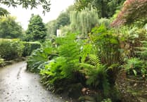 Prestigious Green Flag for Simmons Park
