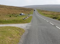 Dog training 'key' to protecting moor livestock