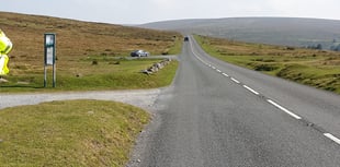 Dog training 'key' to protecting moor livestock