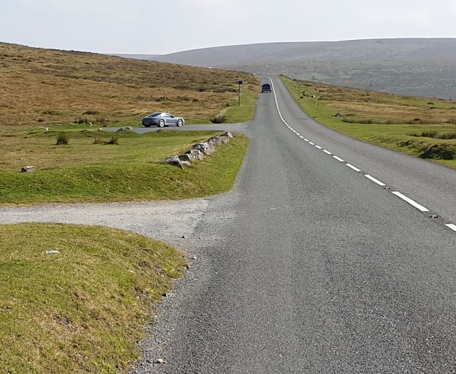 Dog training 'key' to protecting moor livestock