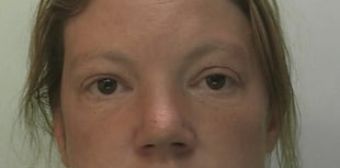 Two suspects arrested after crime spree