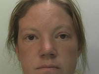 Two suspects arrested after crime spree