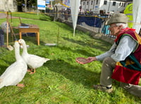 Geese return to Tavistock Goose Fair