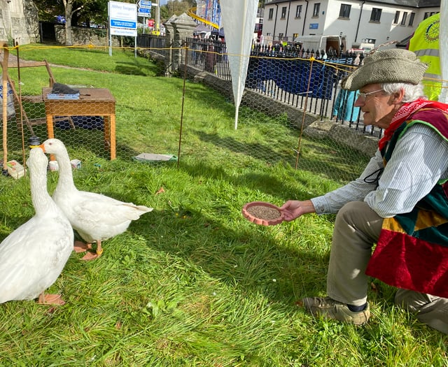 Geese return to Tavistock Goose Fair