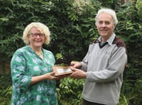 Volunteer's  bat conservation award