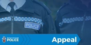 Police appeal after Okehampton assault
