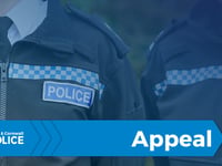 Appeal for witnesses after vandalism in Bideford
