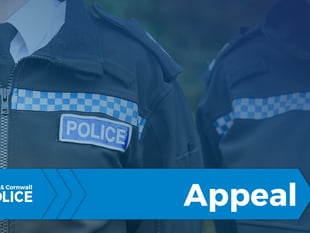 Appeal for witnesses after vandalism in Bideford
