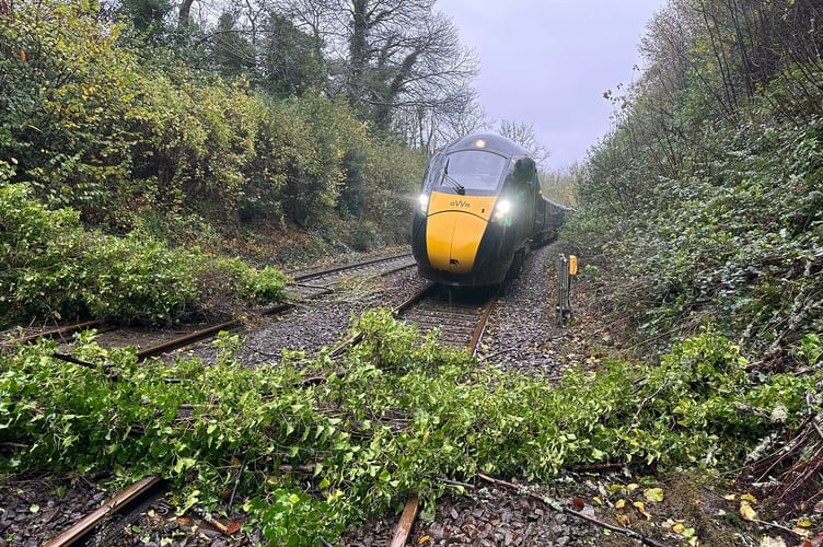 Fallen trees on the track due to Storm Bert