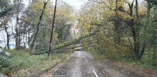 Devon recovers from Storm Bert