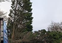 Storm Darragh wreaks havoc in West Devon