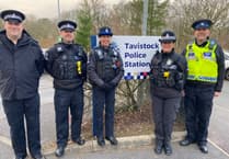 Tavistock community fun safety day