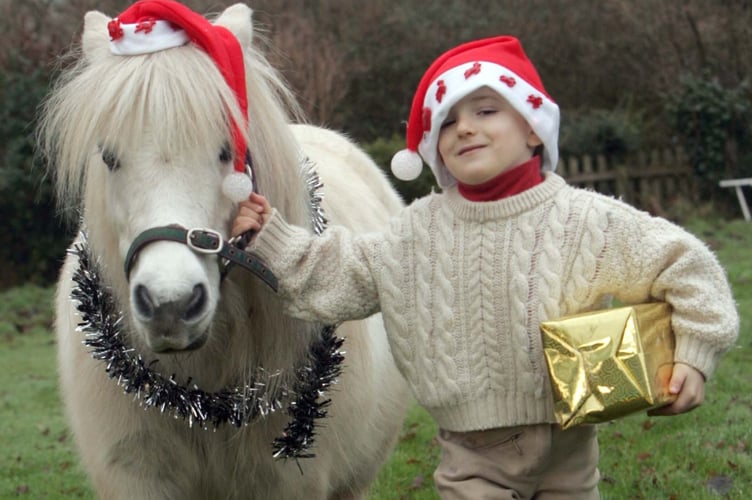 The public are invited to support a Dartmoor pony festive ride this Sunday. Pictured is Thomas Faulkner and Midge the pony.