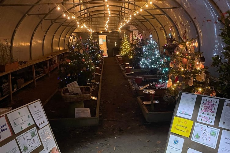 The Nethercott Christmas Tree Festival was hosted undercover in a polytunnel and featured 15 locally grown trees lovingly decorated by supporters. (Picture: Farms for City Children) 