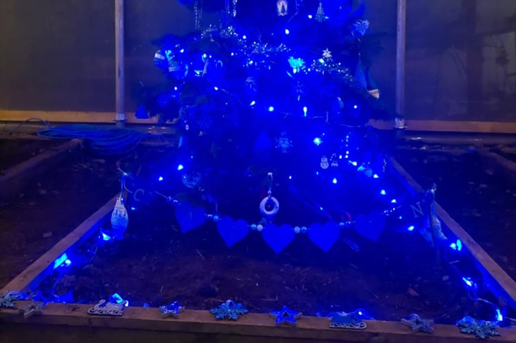 A tree dedicated to Caitlin Bird and decorated in her favourite colour shines brightly at the Farms for City Children Christmas Tree Festival held on December 13.
