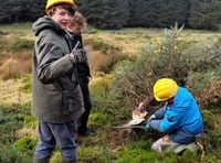 Final call to apply for young people's 'green' course on Dartmoor