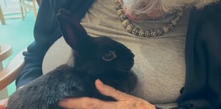 Appeal for animal therapy organisation