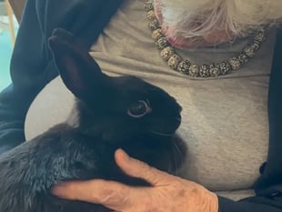 Appeal for animal therapy organisation