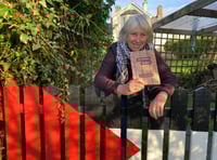 Tavistock poet pens poems for humanitarian relief