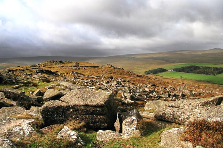 Bellever Ridge on Dartmoor, one of the places where BigFoot might be roaming. Picture: Dartmoor National Park Authority.