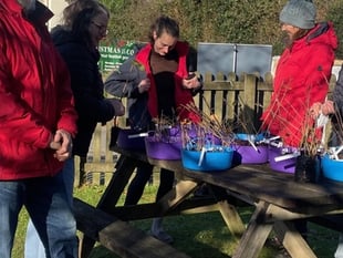 Tree giveaway to enhance Devon's landscape