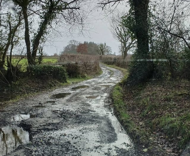 Hamlet have their mail shut off due to 'dangerous' potholes