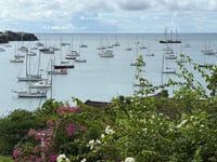 Nature Diary by Mike Hitch | Island life