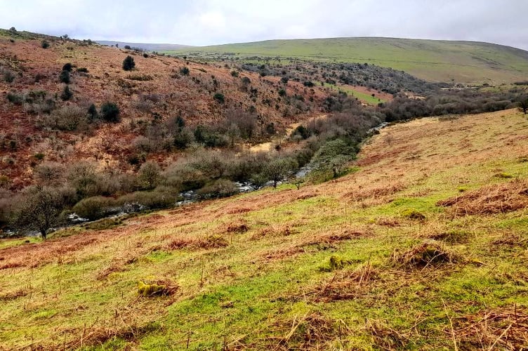 The River Erme and Harford Moor
