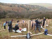 Plan to re-establish ancient woodland is underway