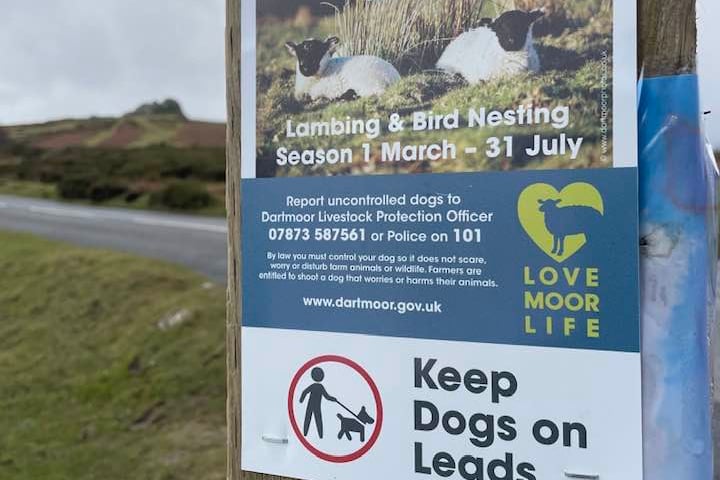 Signage on Dartmoor at the beginning of lambing and nesting season reminding dog owners to keep their dogs on a lead. (Picture: Dartmoor National Park)