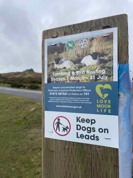Signage on Dartmoor at the beginning of lambing and nesting season reminding dog owners to keep their dogs on a lead. (Picture: Dartmoor National Park)