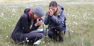 Work experience opportunity on Dartmoor and Bodmin Moor 