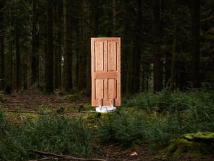 Ancient wood from Dartmoor to be used in timber construction