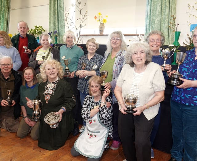 Daffodils dazzle at Bere Ferrers Spring Flower Show