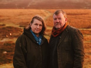 Are the tors of Dartmoor alive? New exhibition asks