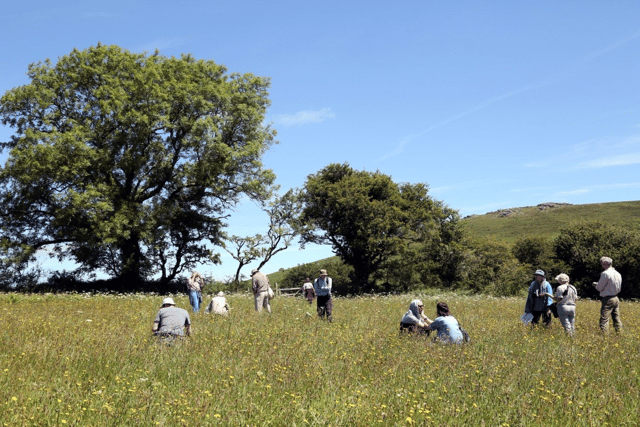 Gardeners needed for plant count