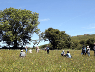 Gardeners needed for plant count