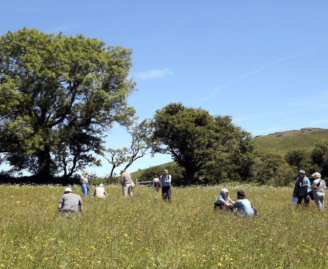 Gardeners needed for plant count